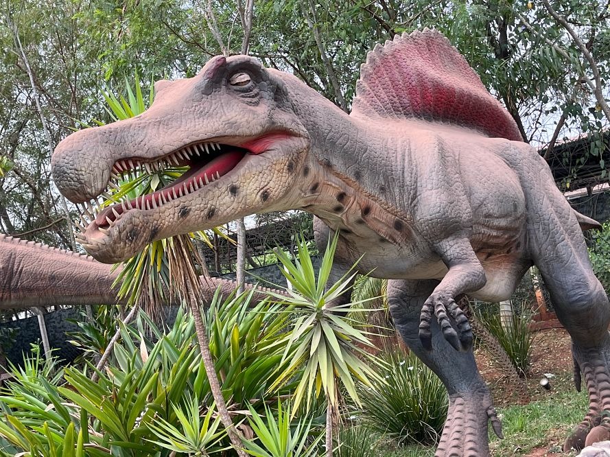 Vale dos Dinossauros — foto 4